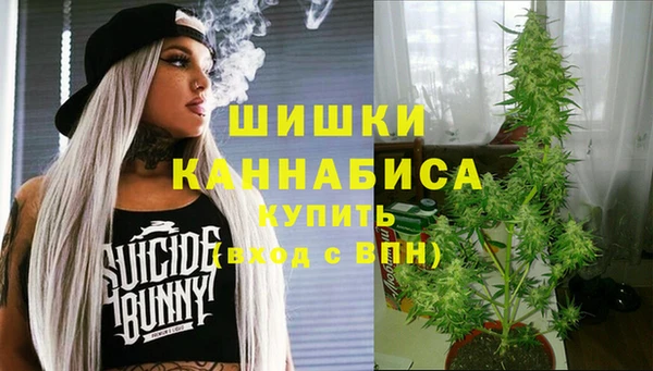 соль ск Осташков