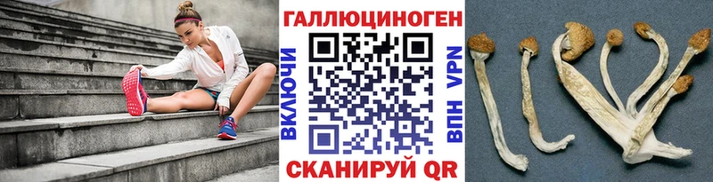 Псилоцибиновые грибы GOLDEN TEACHER  Ахтубинск 