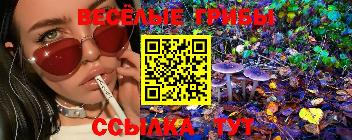 Галлюциногенные грибы GOLDEN TEACHER  Галлюциногенные грибы мицелий  Вход с VPN  Ахтубинск 