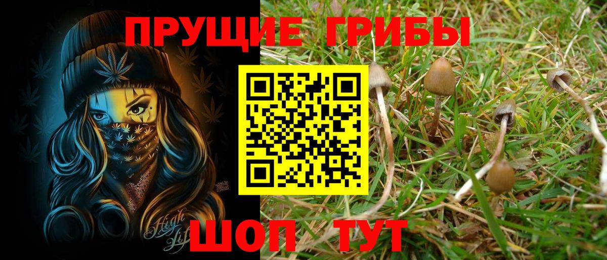 Codein Ахтубинск