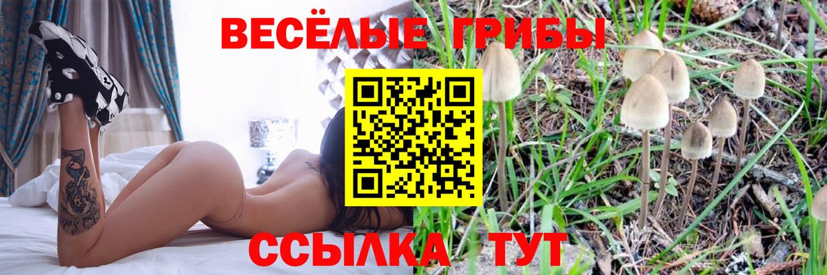 Галлюциногенные грибы Cubensis  Псилоцибиновые грибы Cubensis  Ахтубинск 