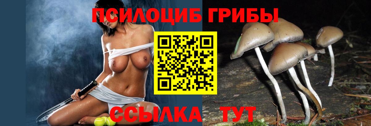 Псилоцибиновые грибы GOLDEN TEACHER Ахтубинск