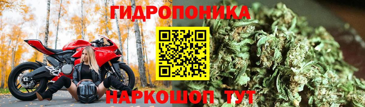 Шишки марихуана SATIVA & INDICA  Шишки марихуана THC 21%  Бошки марихуана Amnesia  Ахтубинск 
